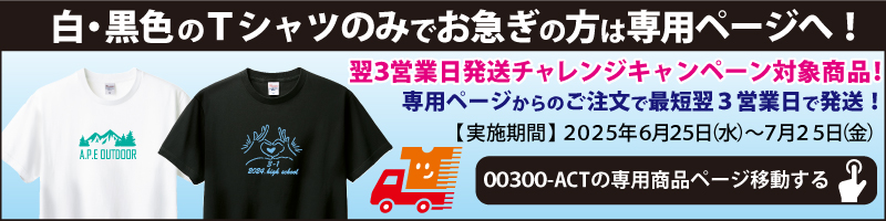 3day 00300 banner