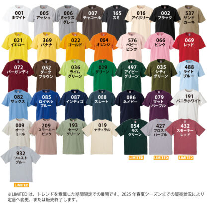 品番 5942-01　6.2オンス プレミアム Tシャツ - 画像 (2)