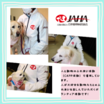 紫 写真 旅行 インスタグラム投稿1