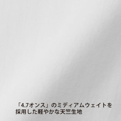 品番　5300-01　4.7オンスレギュラーフィットTシャツ - 画像 (7)