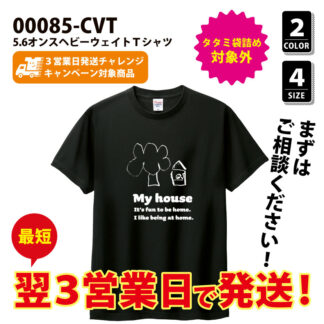 New 00085 c 01