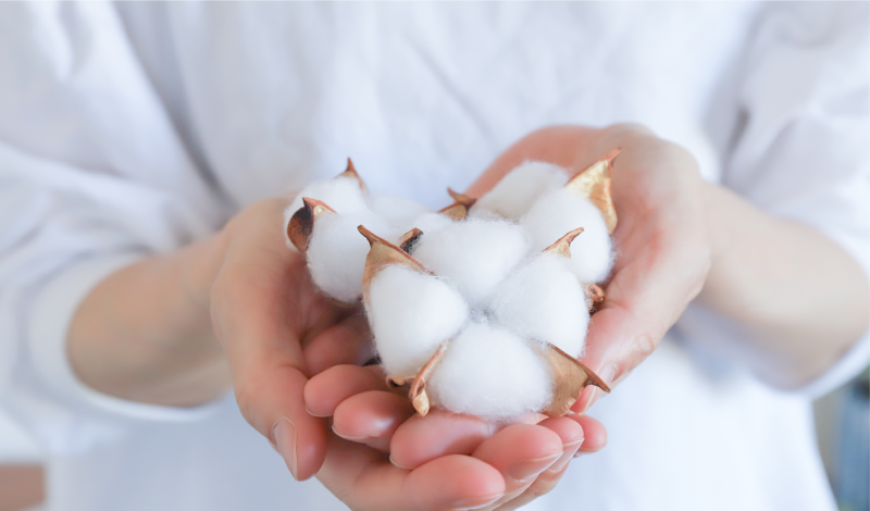 Cotton