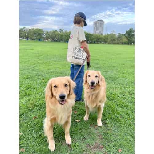 事例3｜姉妹犬おそろいバッグ：SNSでも反響多数