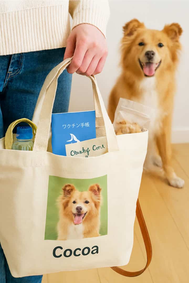 ペットイベントやカフェでのアイテム整理