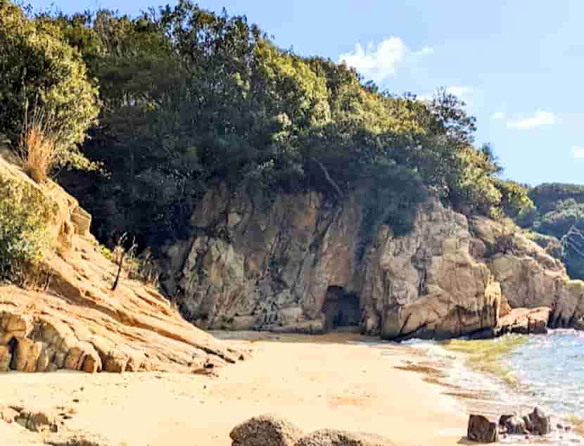 インタビューに応じる島の皆さん