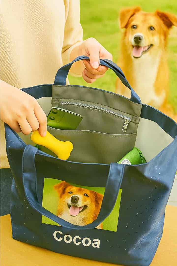 機能性も◎：ポケット付き、防水、軽量