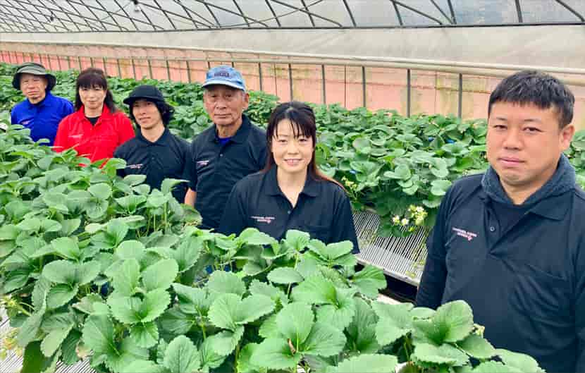 いちごハウスでの撮影