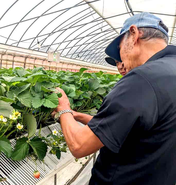 真剣な話し合い