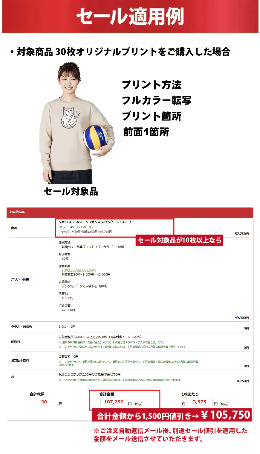 お年玉キャンペーン・セール適用例【転写プリント】