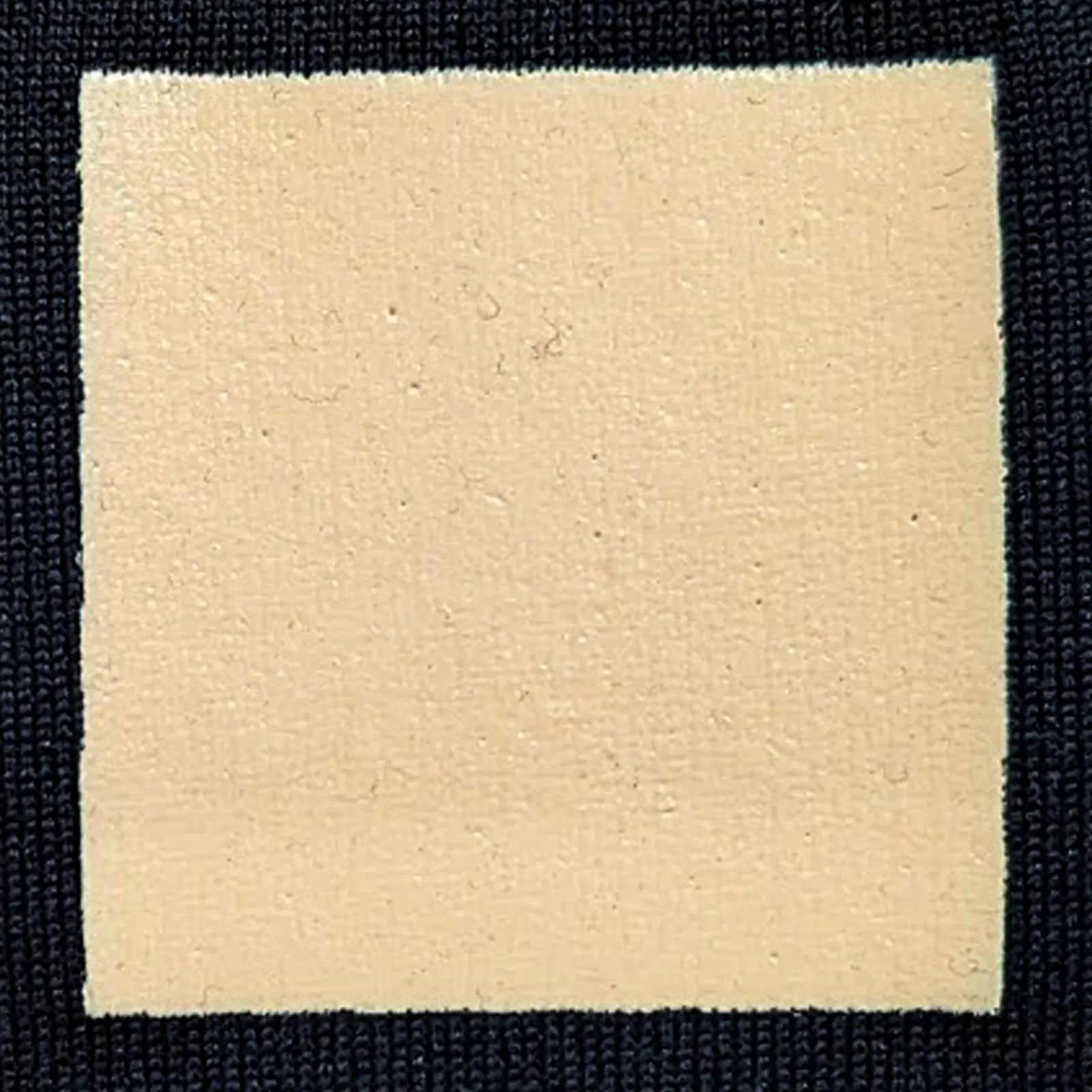 オリジナルプリント色見本 サーモンピンク：ドライ黒生地へのシルクスクリーンプリント仕上がり（インク番号 C-12）