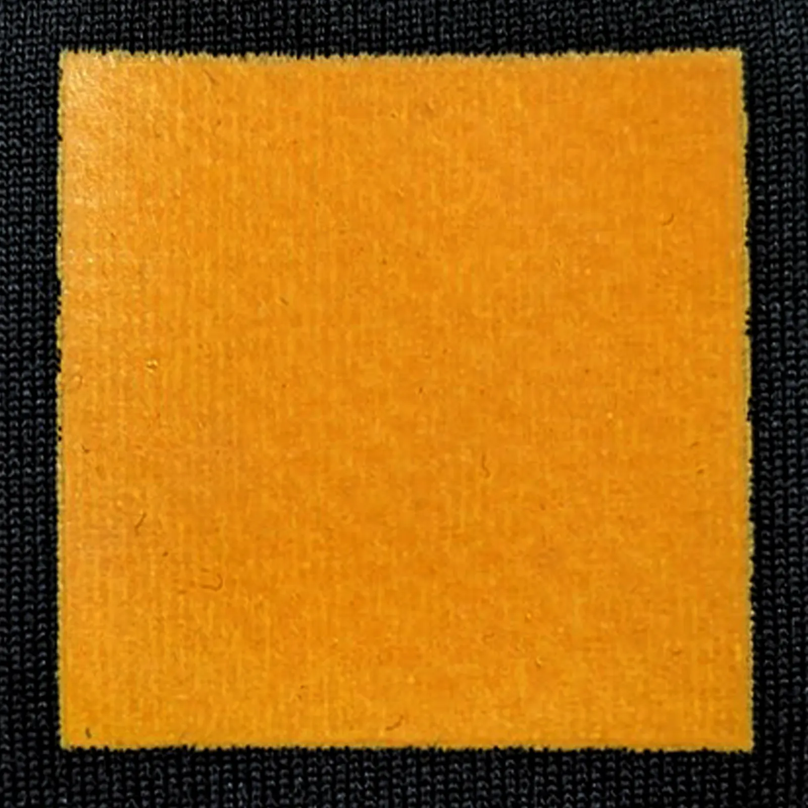 オリジナルプリント色見本 アプリコット：ドライ黒生地へのシルクスクリーンプリント仕上がり（インク番号 C-15）