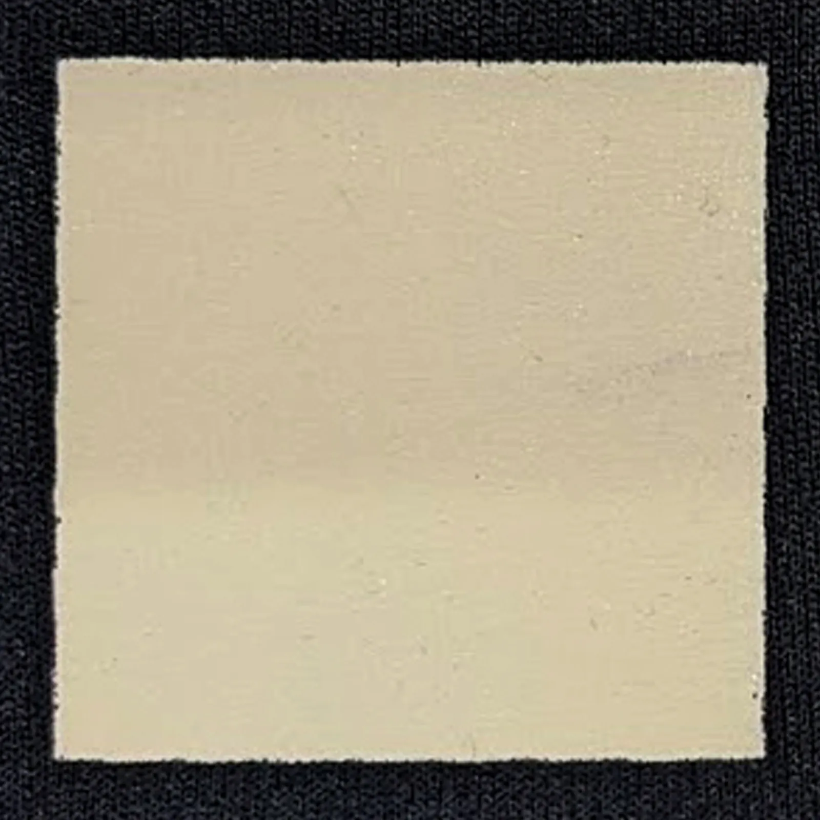 オリジナルプリント色見本 ベージュ：ドライ黒生地へのシルクスクリーンプリント仕上がり（インク番号 C-20）