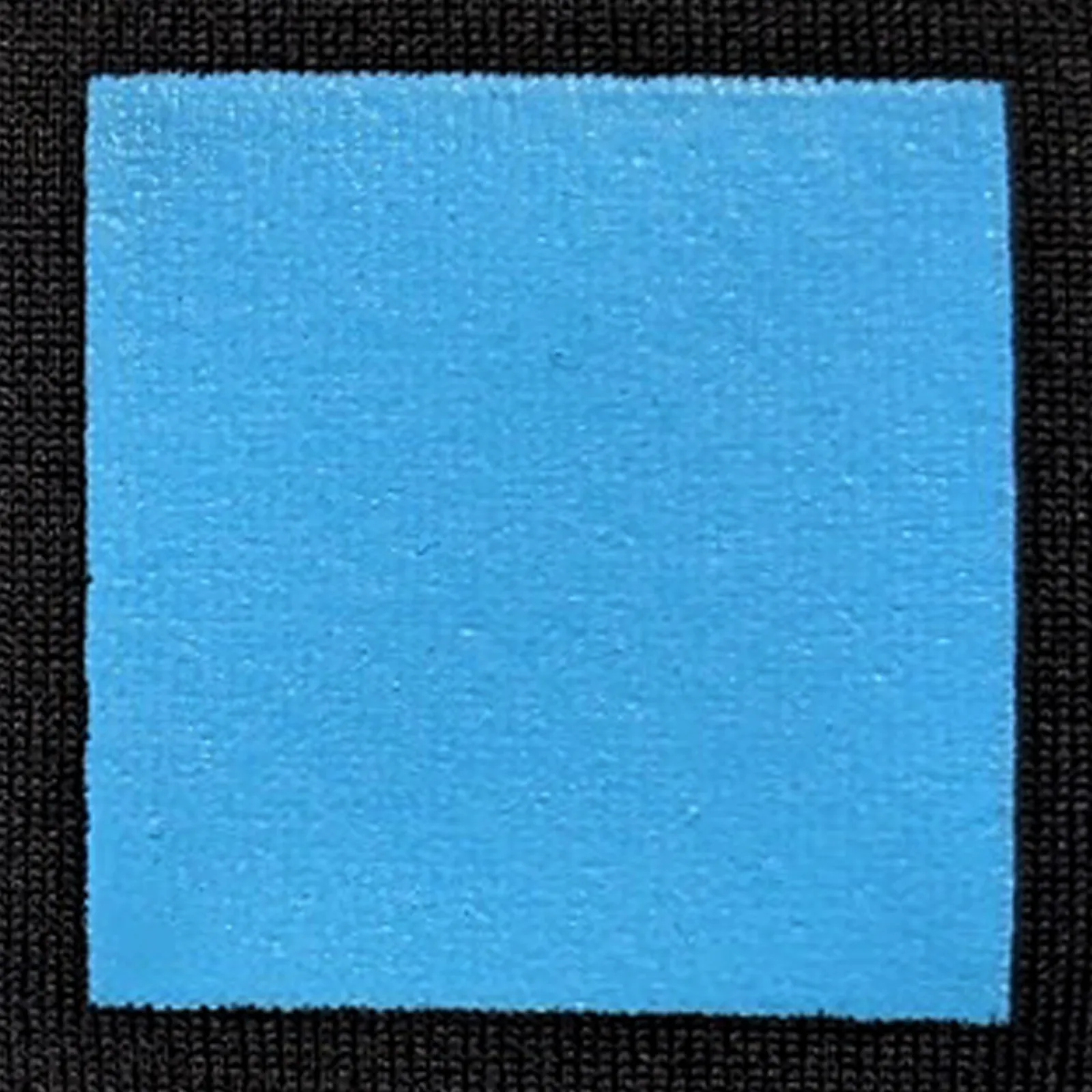 オリジナルプリント色見本 ライトブルー：ドライ黒生地へのシルクスクリーンプリント仕上がり（インク番号 C-24）