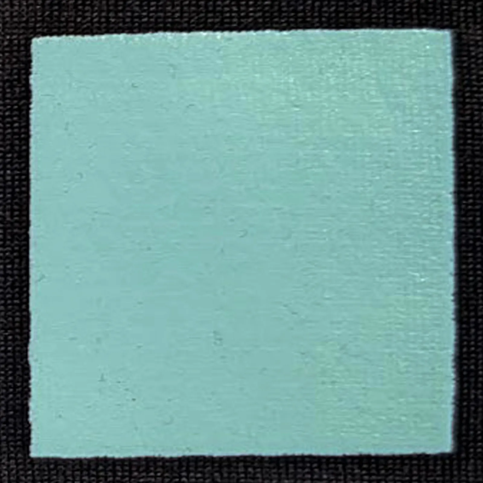 オリジナルプリント色見本 スカイブルー：ドライ黒生地へのシルクスクリーンプリント仕上がり（インク番号 C-25）