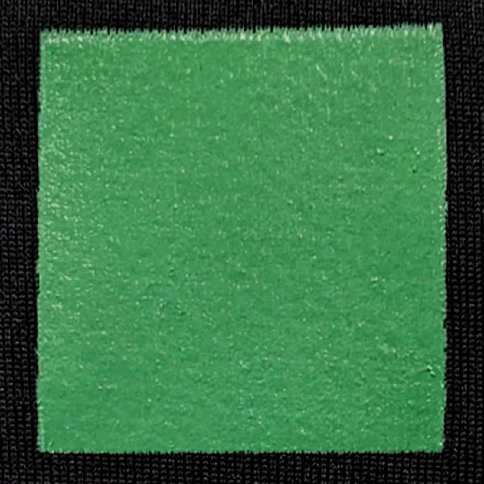 オリジナルプリント色見本 ライトグリーン：ドライ黒生地へのシルクスクリーンプリント仕上がり（インク番号 C-33）