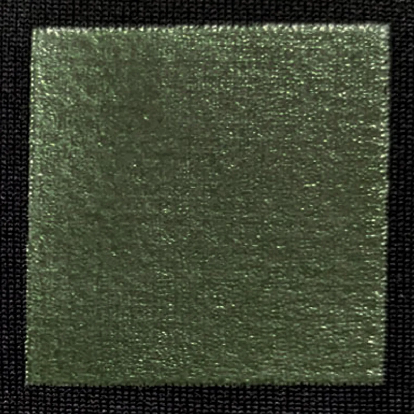 オリジナルプリント色見本 オリーブ：ドライ黒生地へのシルクスクリーンプリント仕上がり（インク番号 C-35）