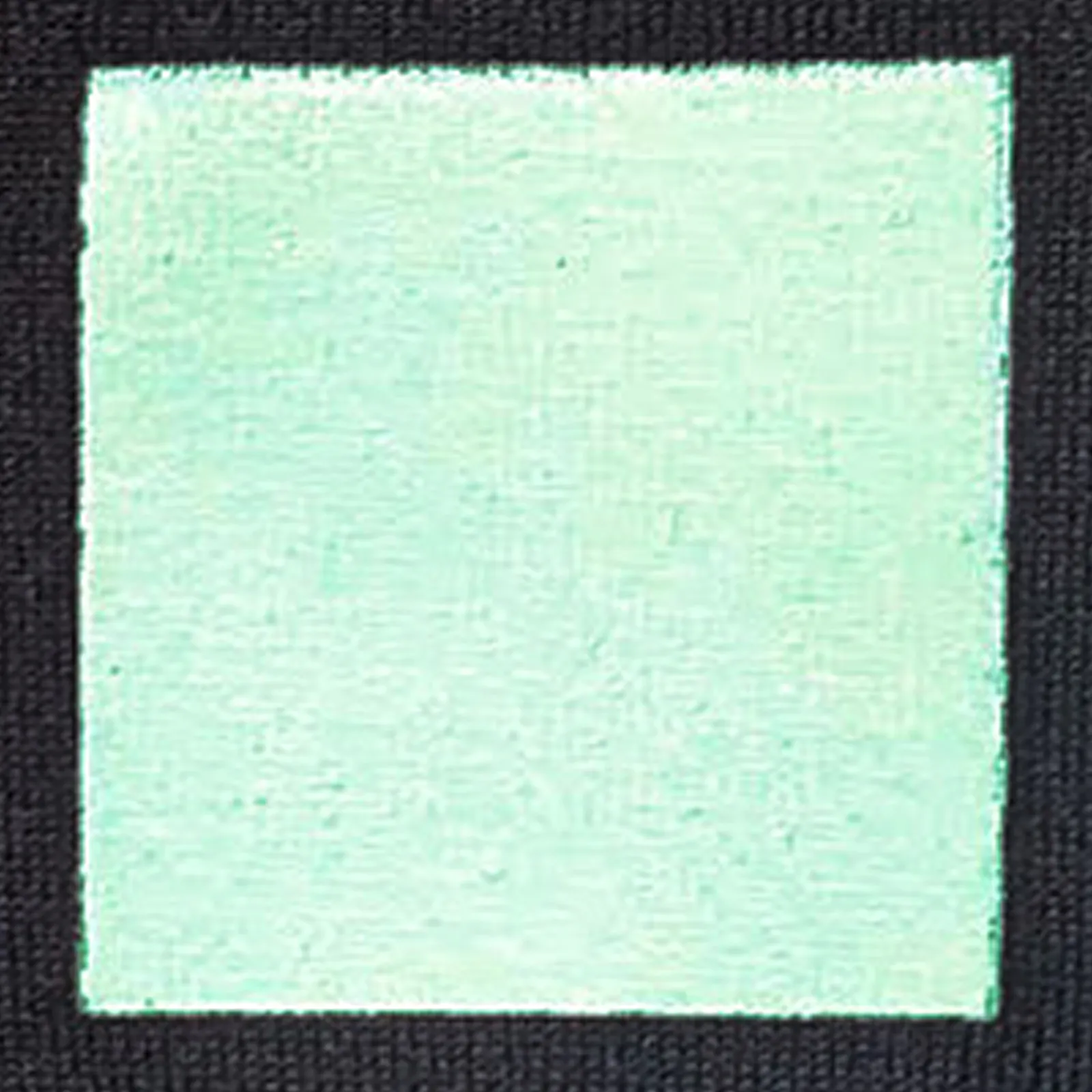 オリジナルプリント色見本 ミントグリーン：ドライ黒生地へのシルクスクリーンプリント仕上がり（インク番号 C-39）