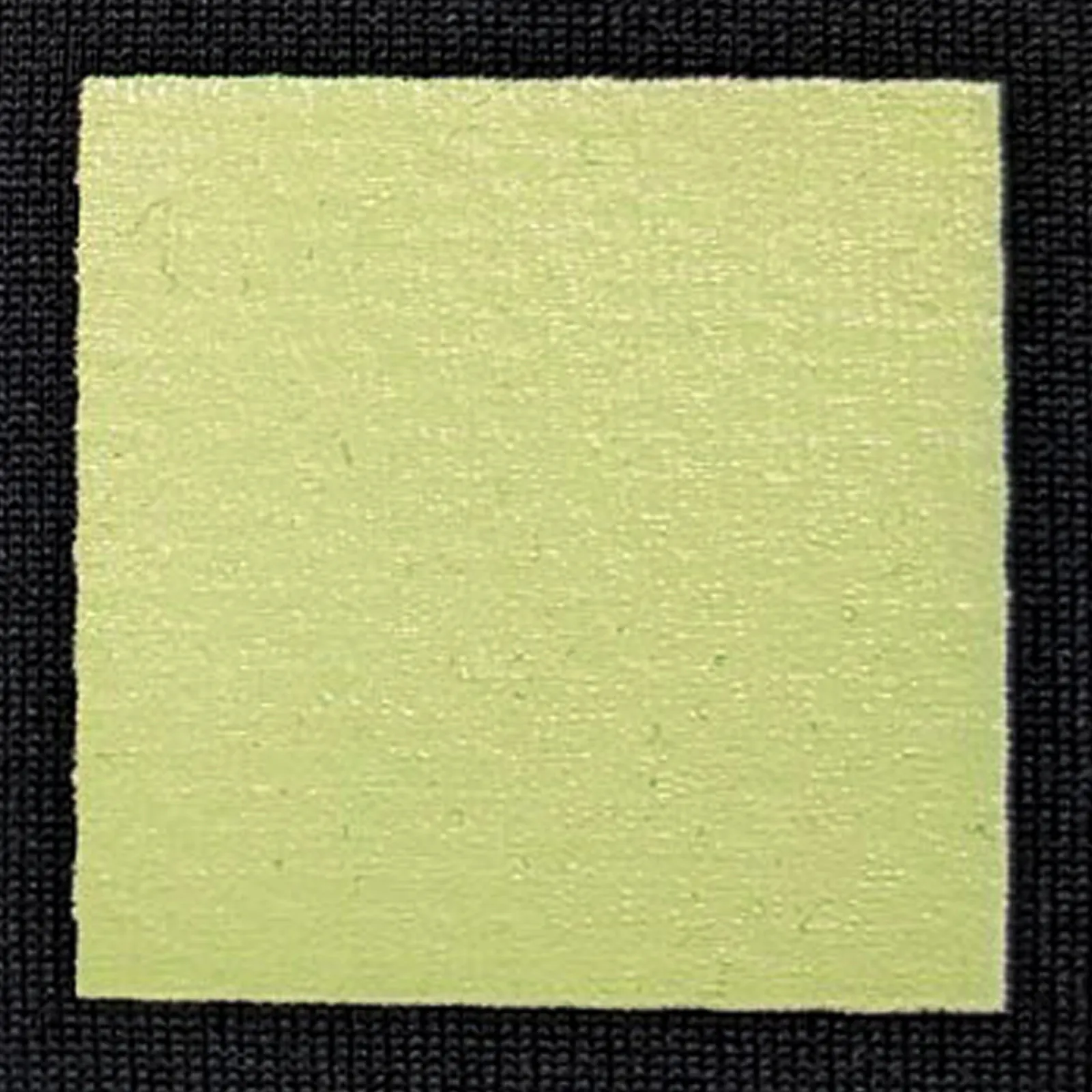 オリジナルプリント色見本 ペールグリーン：ドライ黒生地へのシルクスクリーンプリント仕上がり（インク番号 C-42）
