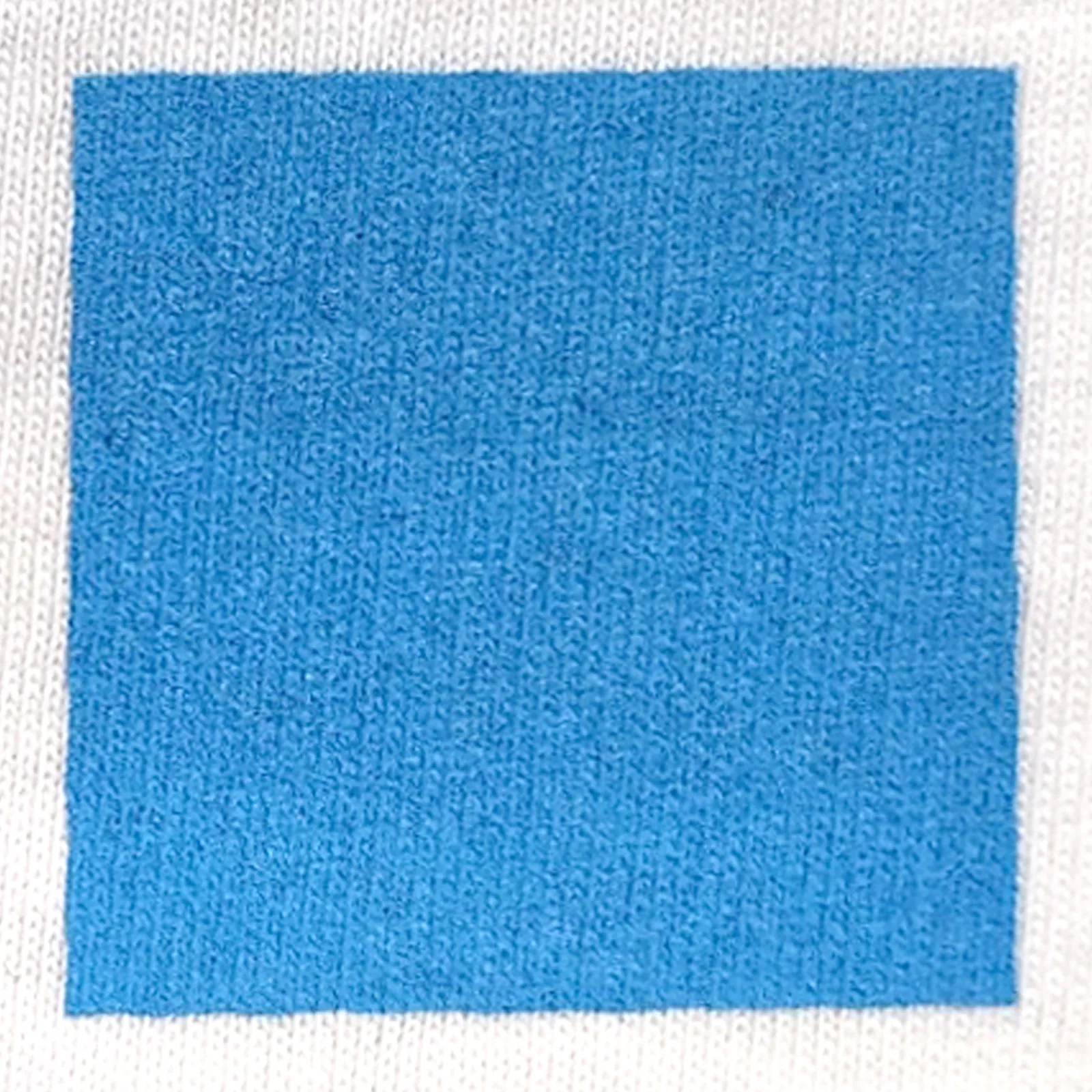 オリジナルプリント色見本 ライトブルー：白綿生地へのシルクスクリーンプリント仕上がり（インク番号 C-24）