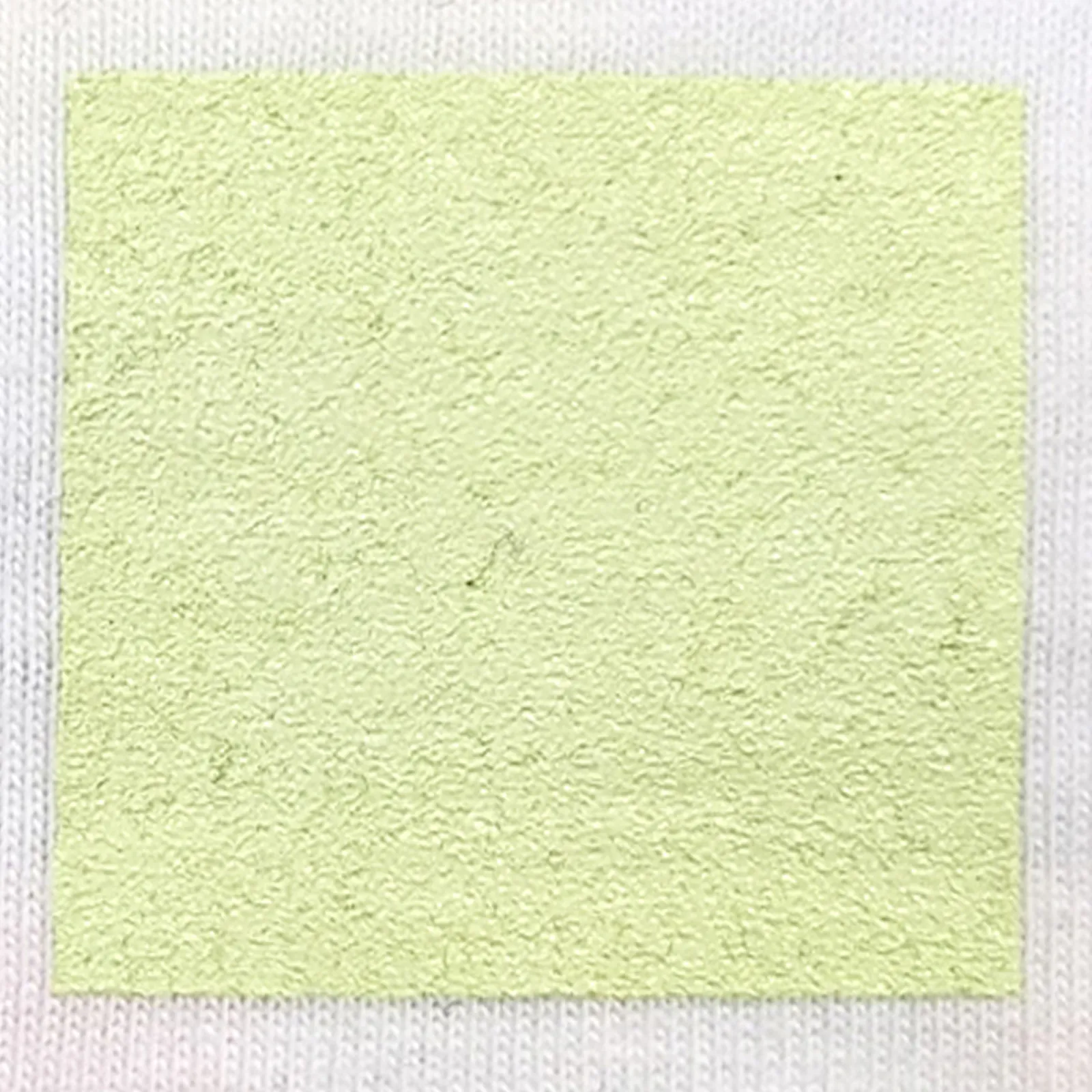 オリジナルプリント色見本 ペールグリーン：白綿生地へのシルクスクリーンプリント仕上がり（インク番号 C-42）